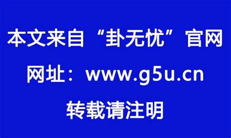 喜水木職業|2024最佳喜水木工作